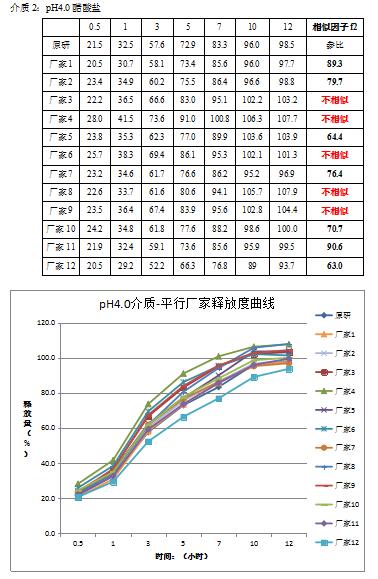 重点评价内容：体外释放研究情况